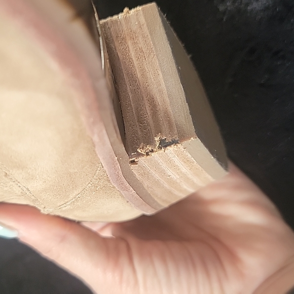 Gianni Bini - Picture 3 of 6